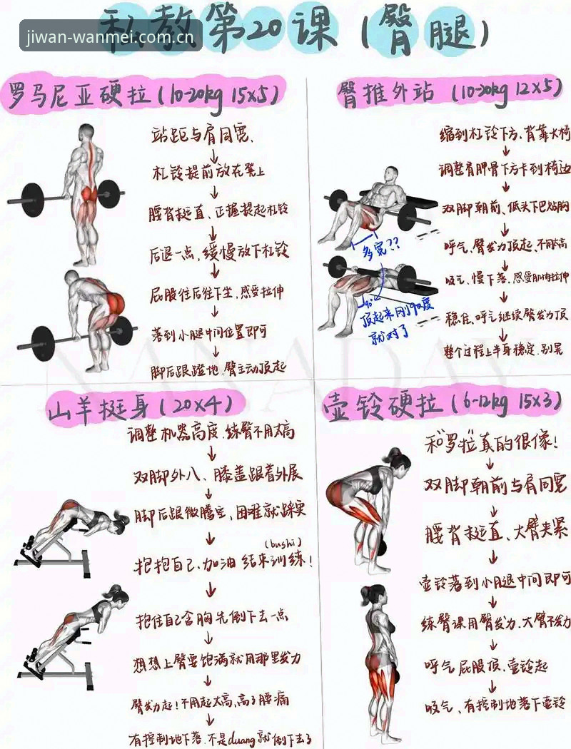 5个步骤轻松掌握完美体育电脑版：新手入门完整指南