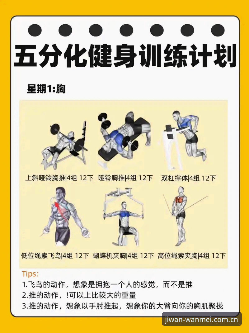 如何通过最新完美体育官方平台快速开启极致娱乐体验？这5个实操步骤你必须知道